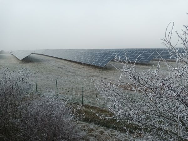 Při klimatickém blackoutu pálili Češi i Evropané všechno, co hoří