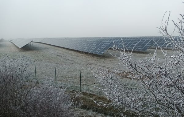 Při klimatickém blackoutu pálili Češi i Evropané všechno, co hoří